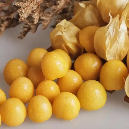 姑娘东北灯笼果香味果奶菇娘大果新鲜当季3斤其它