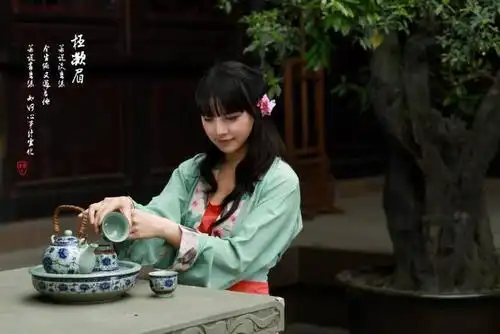 古代买一个丫鬟大概需要多少钱别被电视剧骗了真相不简单