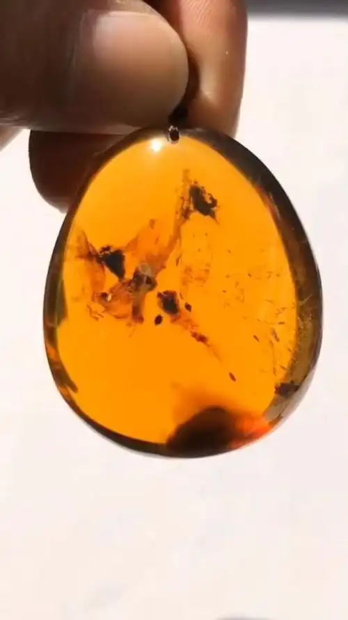 缅甸天然琥珀,血茶珀体植物珀 风景珀,植物纤维清晰漂亮 意境优美