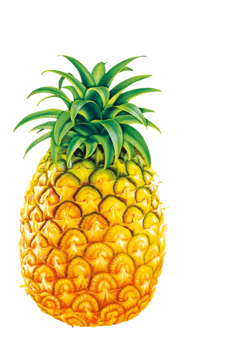 一颗水果菠萝png图片素材