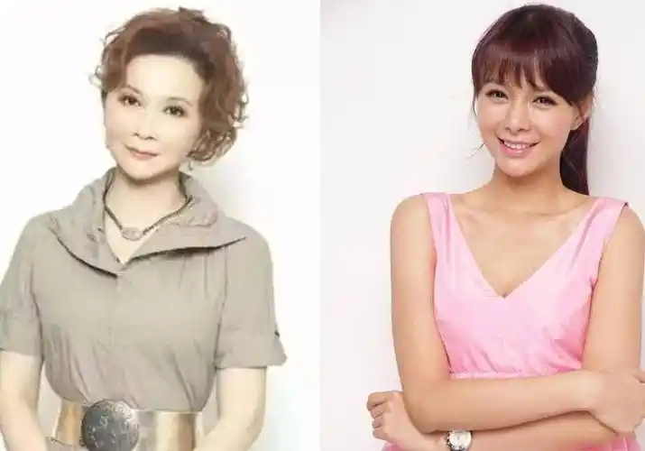 撞脸蔡明,是意外还是同款?_模板_女明星_长相