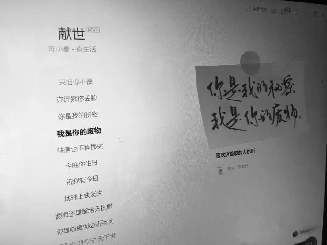 《献世》歌词摘抄 "你是我的秘密,我是你的废物" 拍出了一点高级感(*