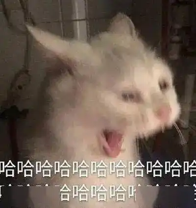 笑容逐渐猖狂2月份可以休息12天!