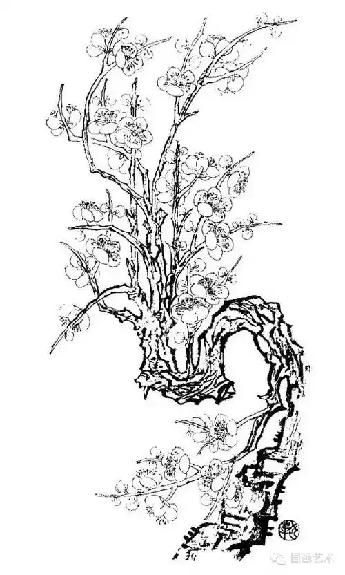 100幅白描梅花练笔用