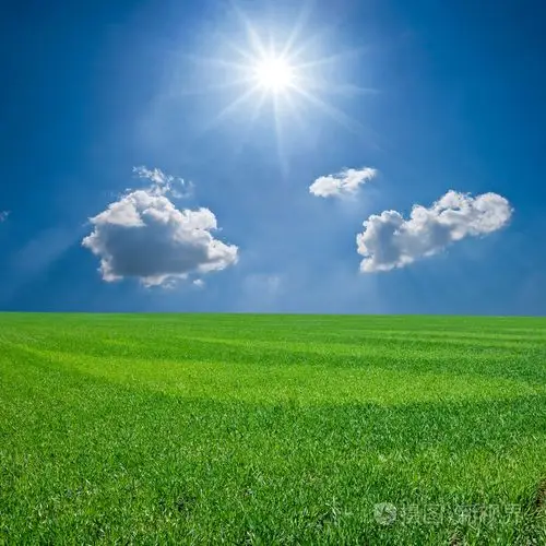 春天绿色农村领域的一个晴朗的天