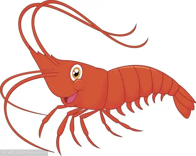可爱的卡通小虾