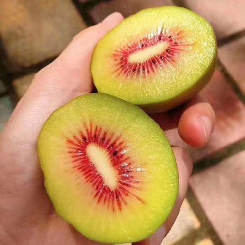 四川红心猕猴桃新鲜水果当季整箱包邮孕妇弥猴桃金大果时令奇异果