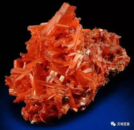 狗年红运当头红色矿石给大家拜年了