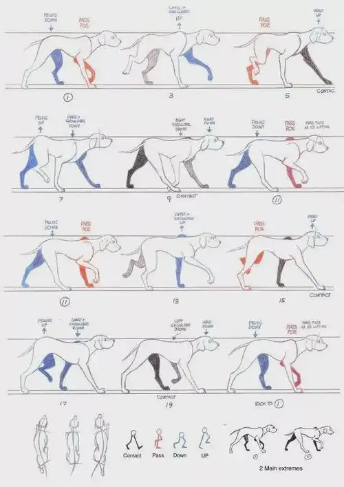 slynyrd像素画教程8帧小狗行走动画