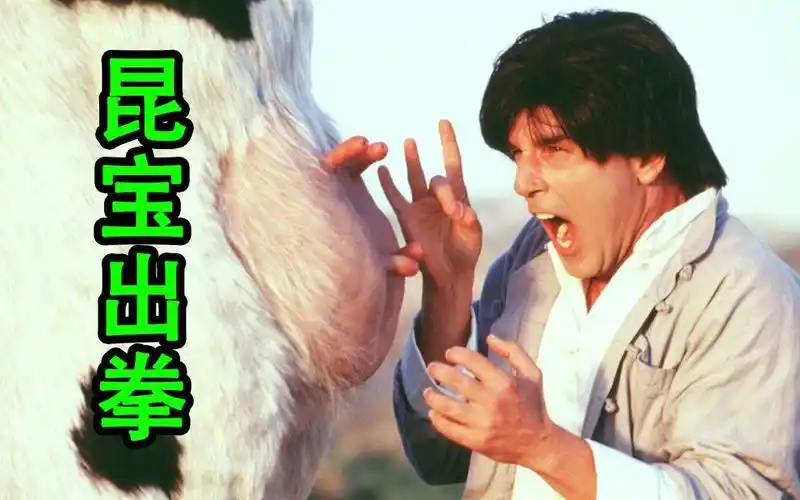 森崎电影院奶牛保镖大战天选之子恶搞电影昆宝出拳