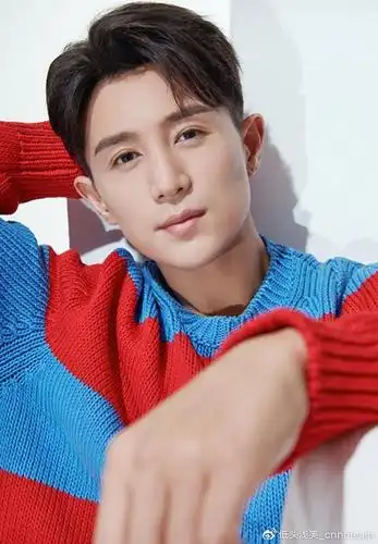 17年前,王晶用明星堆砌拍了一部武侠片,阵容包括陈冠希,陆毅,黄秋生