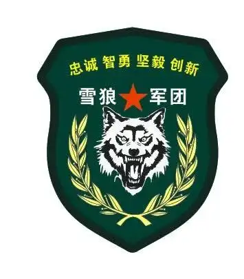 【雪狼军团军事冬令营】——不畏严寒,磨砺意志!