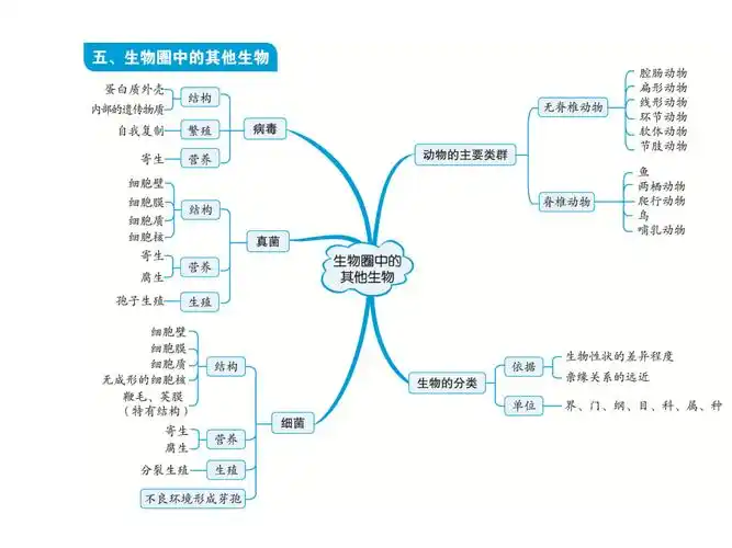 初中生物中考复习知识点思维导图