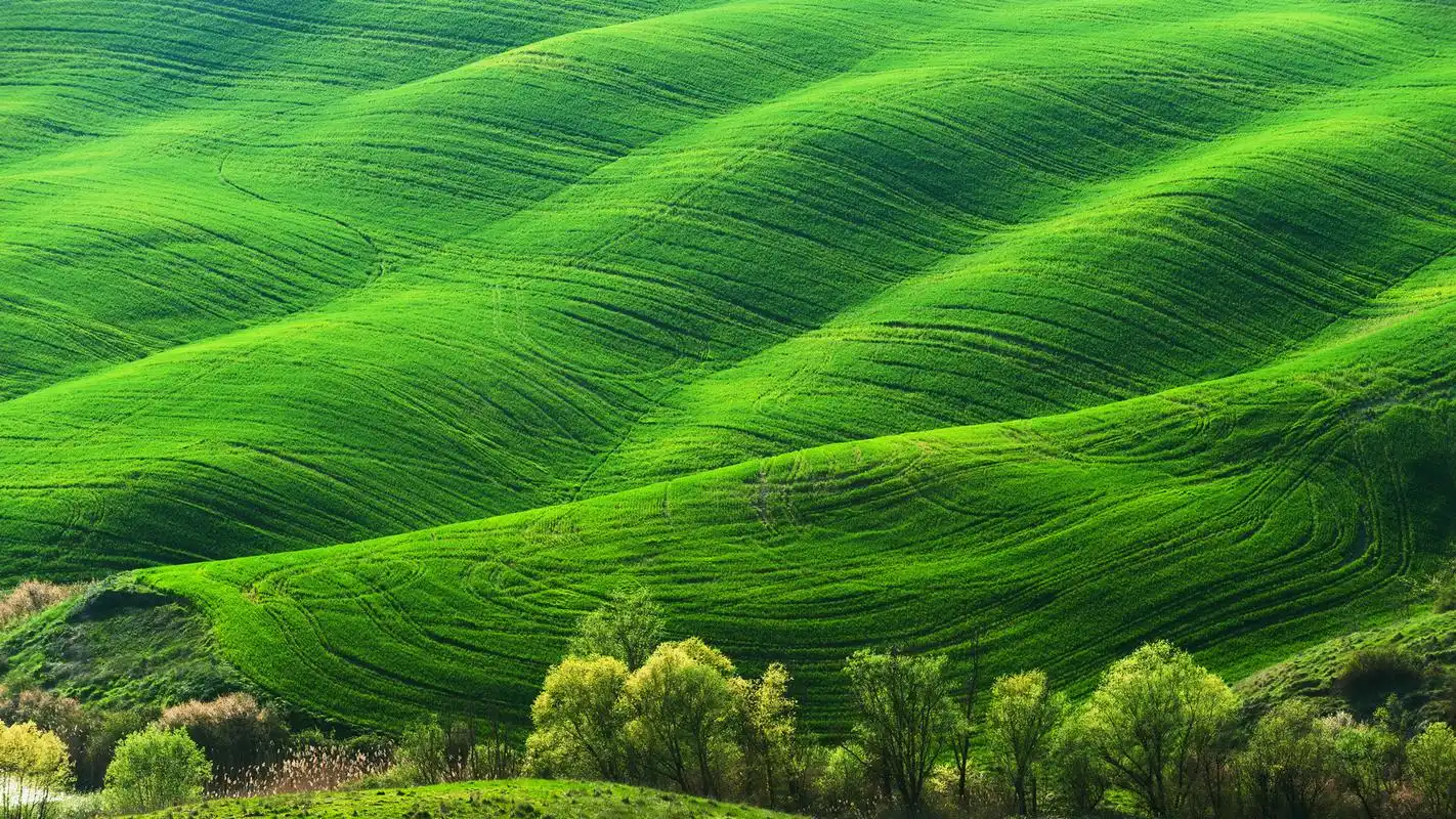 82张护眼电脑桌面壁纸,超多超全,唯美漂亮