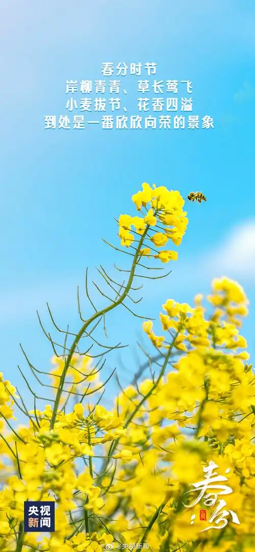 但冷空气仍会不时造访,要关注天气变化.在明媚的春光里