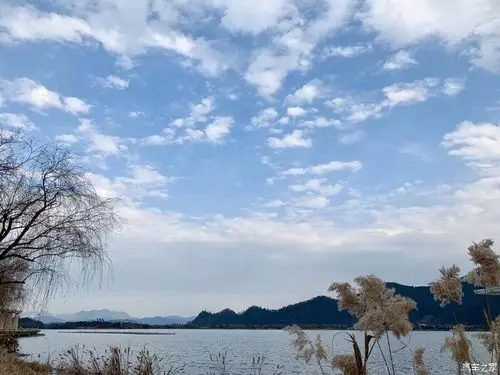 暖风吹来~恰似一股股暖流