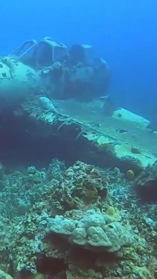 海底居然有沉船,这感觉有点恐怖啊
