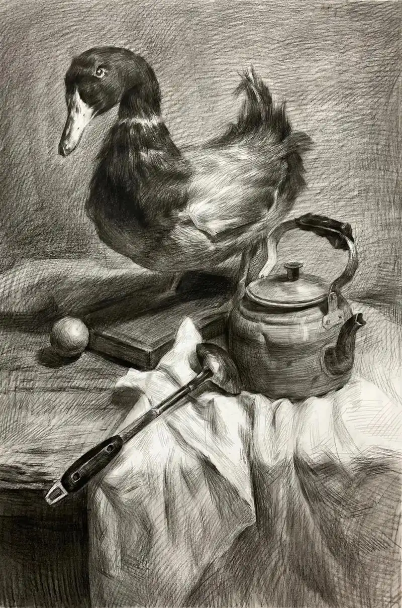 鸭子素描静物组合.步骤分享,鸭子组合#联考 #素描静物 #素 - 抖音