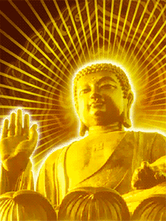 【杂谈】摄心为戒默然前行