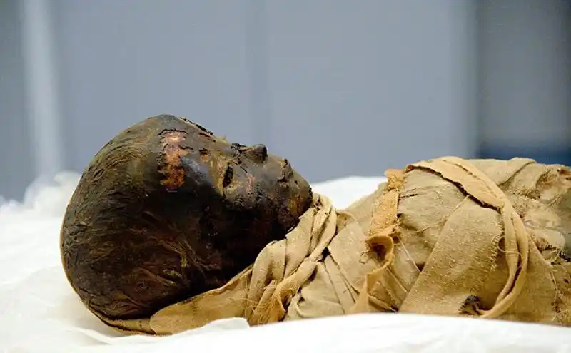 德国医院对2具儿童木乃伊进行ct扫描 (2/6)