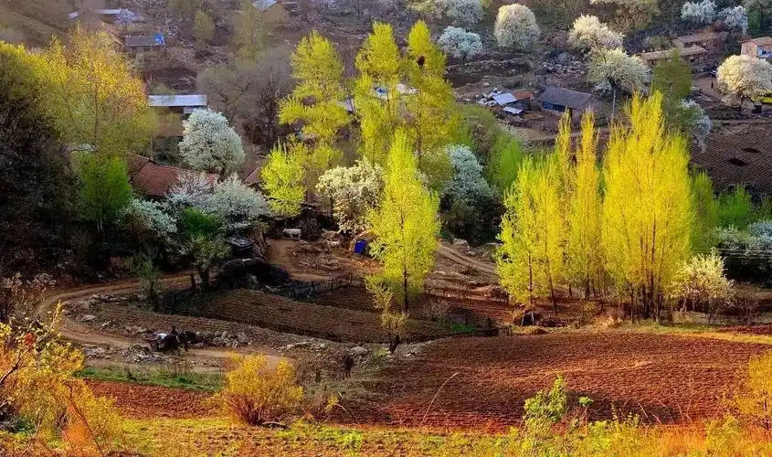 沈阳周边这些地方太"色"了!第一次秋游就去这吧