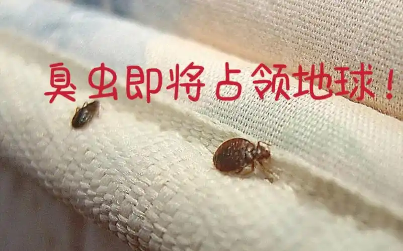 没想到广东赫赫有名的臭虫,已经遍布全球了!