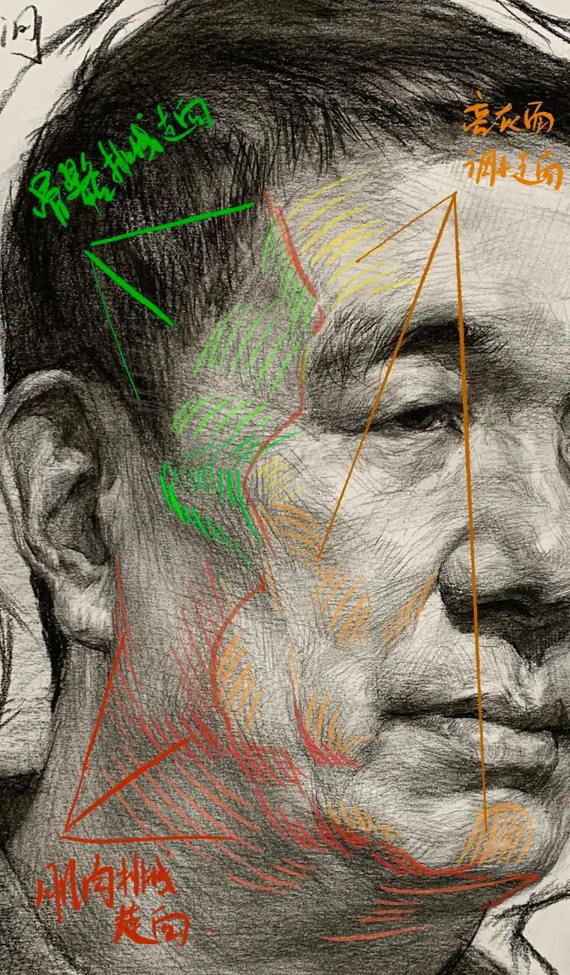 素描头像|脸部结构排线走向