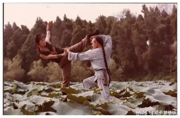 穿越时光的剑影刀光:80年代内地武侠片十大经典回顾