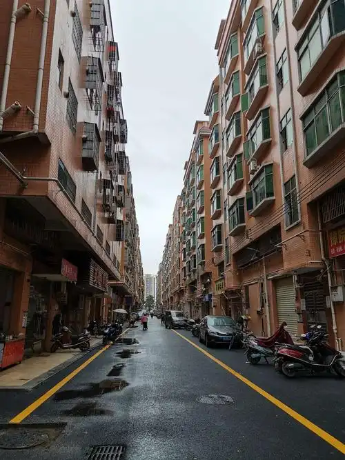 区城中村综合治理分指办主任刘力同志率队检查沙井街道城中村迎检准备