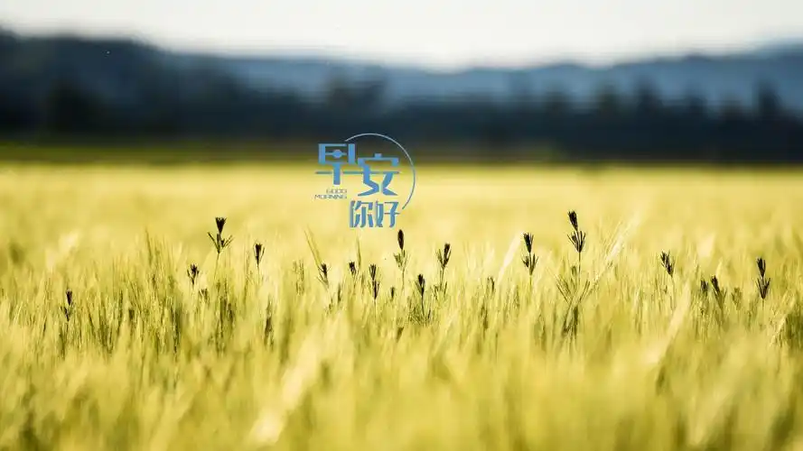 早安唯美自然风景图片桌面壁纸