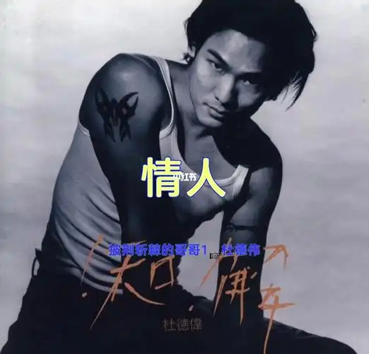 披荆斩棘的哥哥174杜德伟73情人73