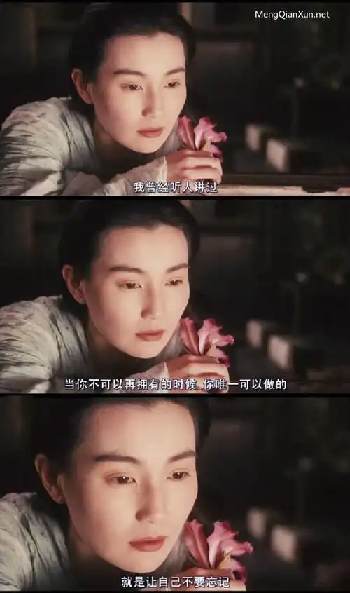 《东邪西毒》经典台词:你唯一可以做的就是让自己不要忘记