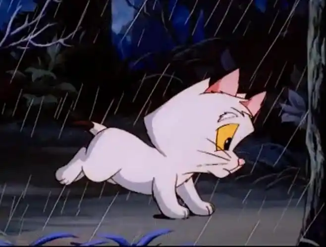 动漫时光机谁还记得这部讲猫的动画小时候差点看哭