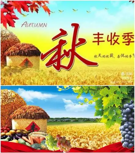 体验收获】 ——记薛村镇焉哉小学六(2)班 红领巾走进丰收节掠影