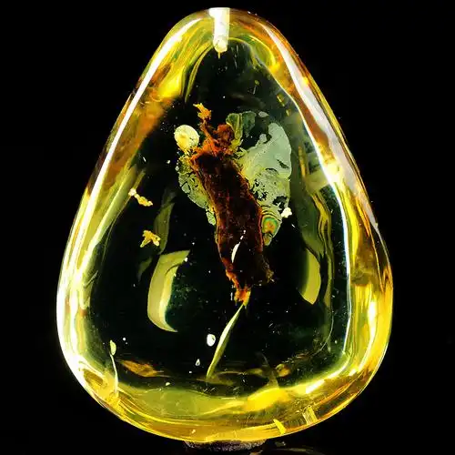 26.28克 【强荧光】油亮植物珀琥珀水滴形挂件