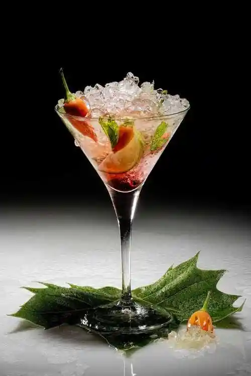 加有柠檬片的鸡尾酒