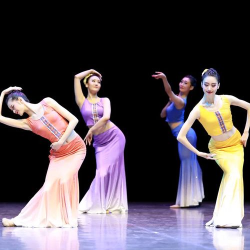 傣族舞蹈演出服彩云之南民族舞练功服群舞鱼尾包臀裙女修身表演服