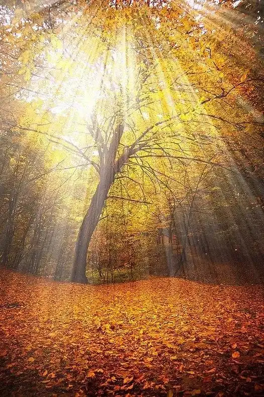 天气晴朗心情美美哒 #阳光明媚的一天 #美好的一天从清晨开 - 抖音