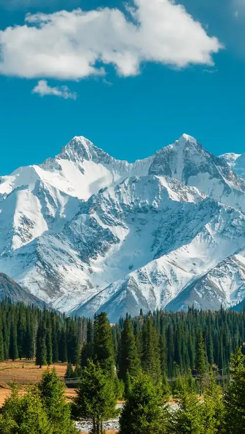 新疆伊犁木扎尔特冰川雪山森林自然风光 - 旅行摄影杨小蟹 - 图虫