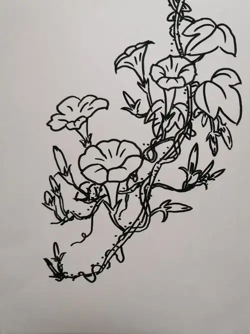 停课不停学,线上美术课教学———简笔画(牵牛花)
