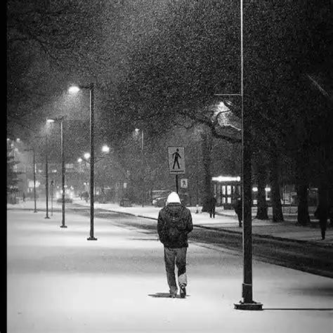 一个人落寞的图片一个人落寞的背影图片2022已更新今日热点