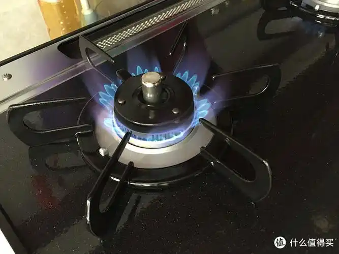 原创新人#热烈庆祝海运百乐满燃气灶点火成功!