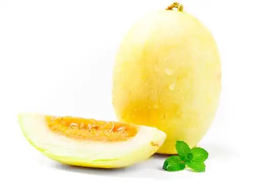 白底上的黄皮香瓜 香瓜