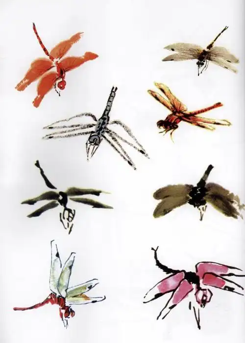 国画千姿百态画草虫——蜻蜓