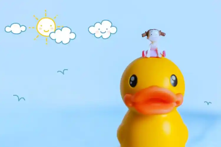 这样可爱的小鸭子怎么少得了来一组萌萌哒照片呢?