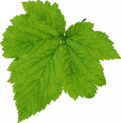 388_397gif 动态图 动图