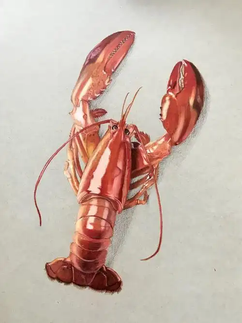 一起来吃小龙虾