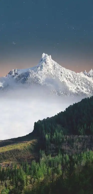 5k手机竖屏分辨率1080x2248雪山 森林壁纸