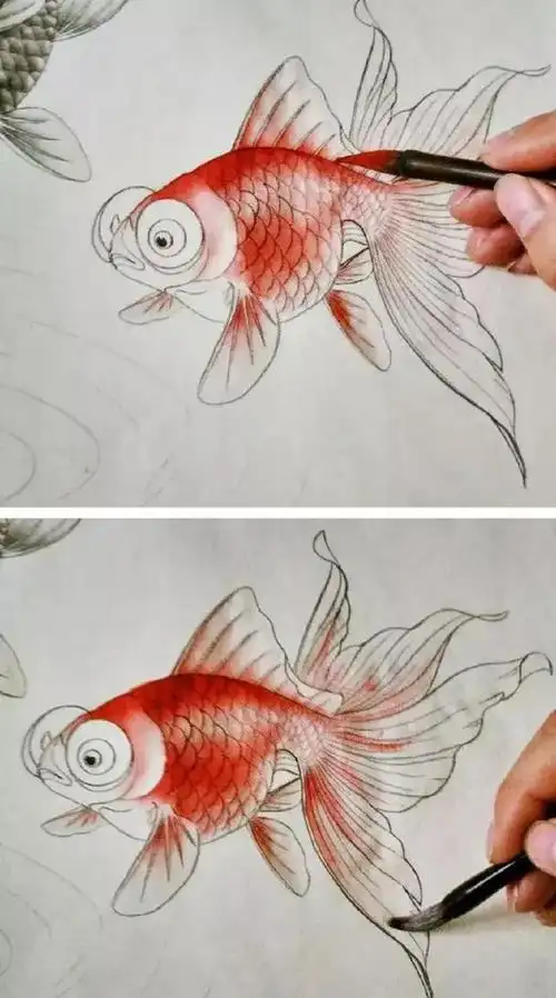 工笔金鱼作品的创作及分染图文步骤