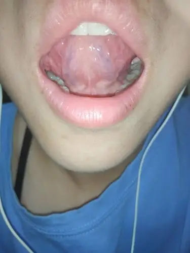 四号花店的美篇